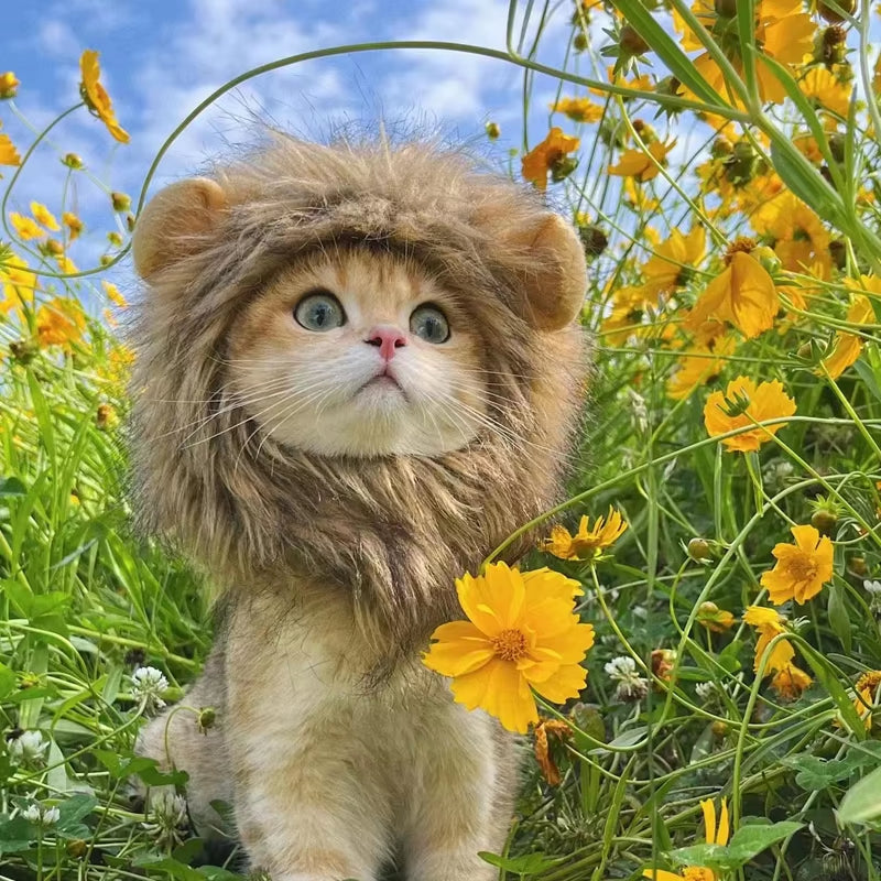 Cute Cat Lion Mane Costume Wig for Pets - Fancy Party Hat with Ears for Dogs and Cats