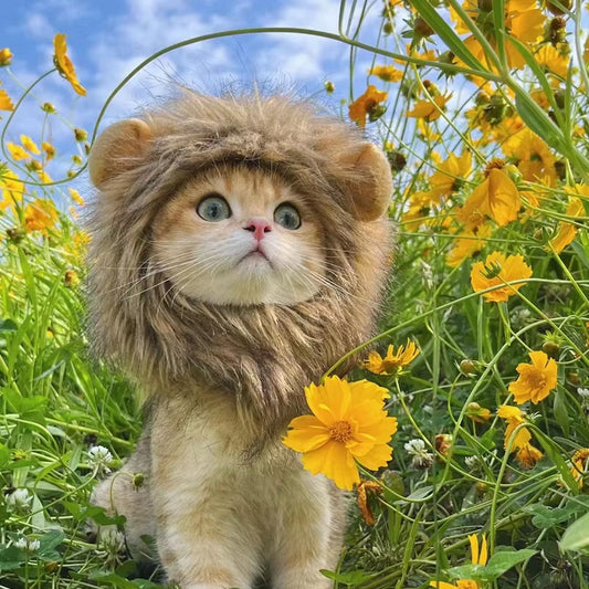 Cute Cat Lion Mane Costume Wig for Pets - Fancy Party Hat with Ears for Dogs and Cats