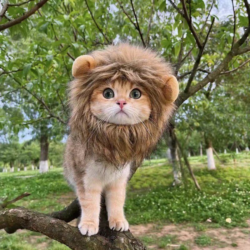 Cute Cat Lion Mane Costume Wig for Pets - Fancy Party Hat with Ears for Dogs and Cats