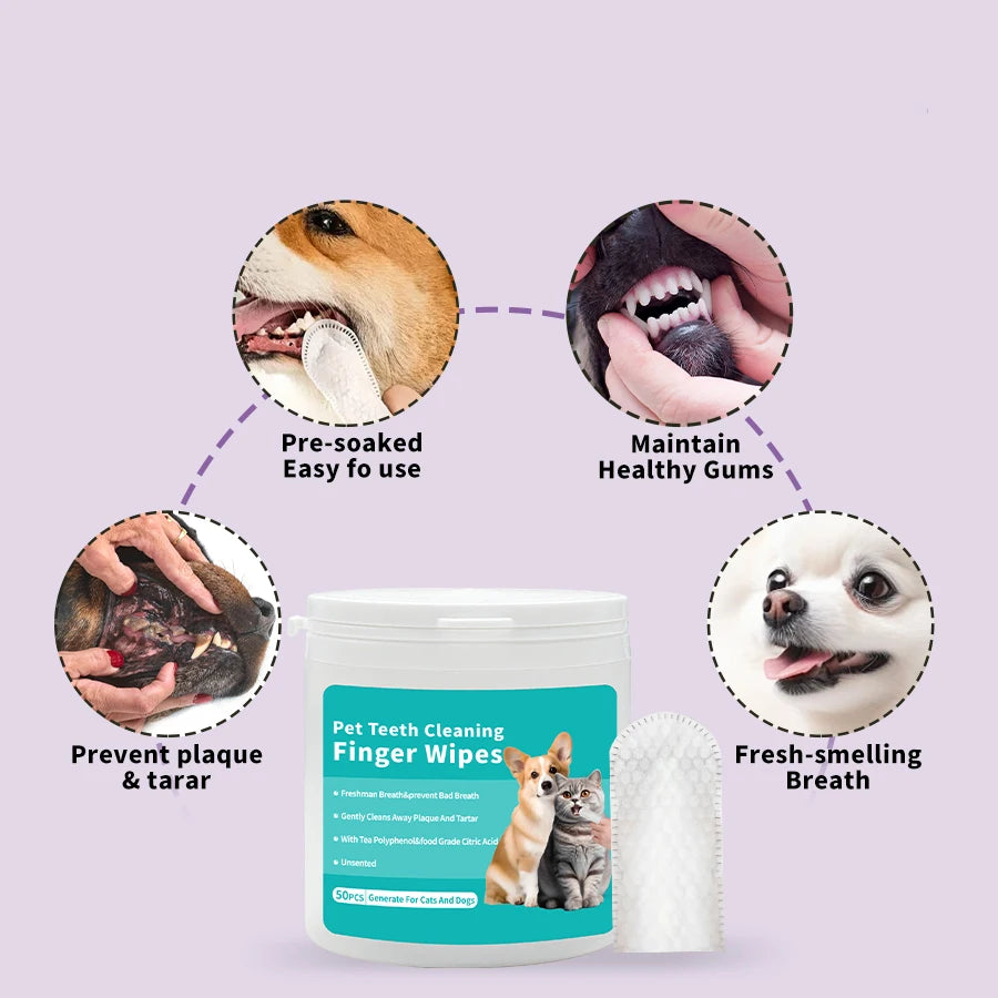 Convenient No-Rinse Dog Teeth Whitening Wet Wipes Animal Finger Cleaning Solution for Pets Easy Teeth Care